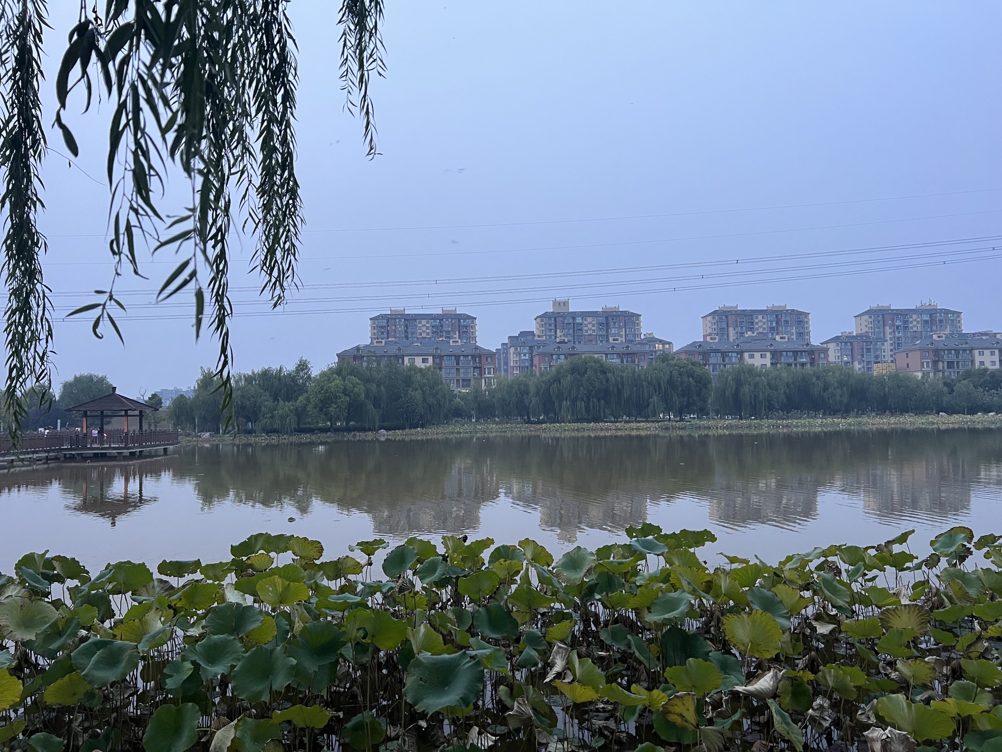 凤鸣湖公园旅行图片 3