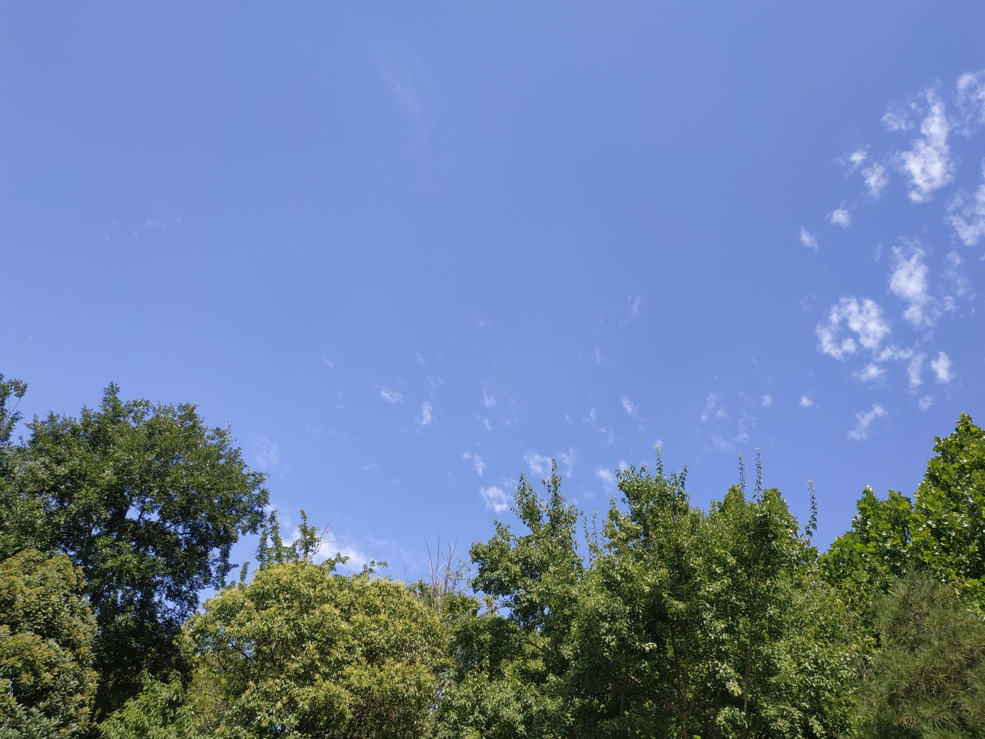 凤鸣湖公园旅行图片 3