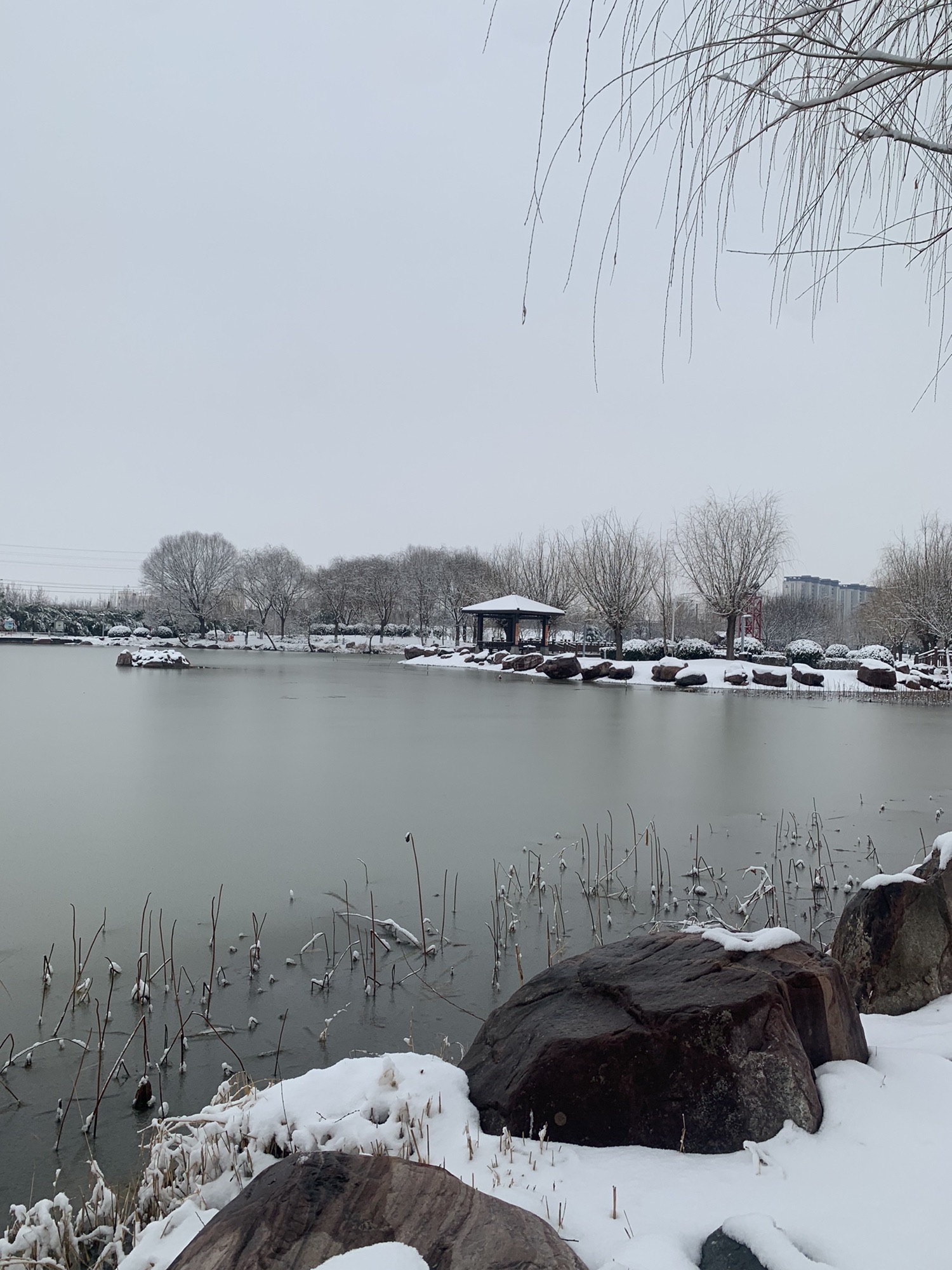 凤鸣湖公园旅行图片 1