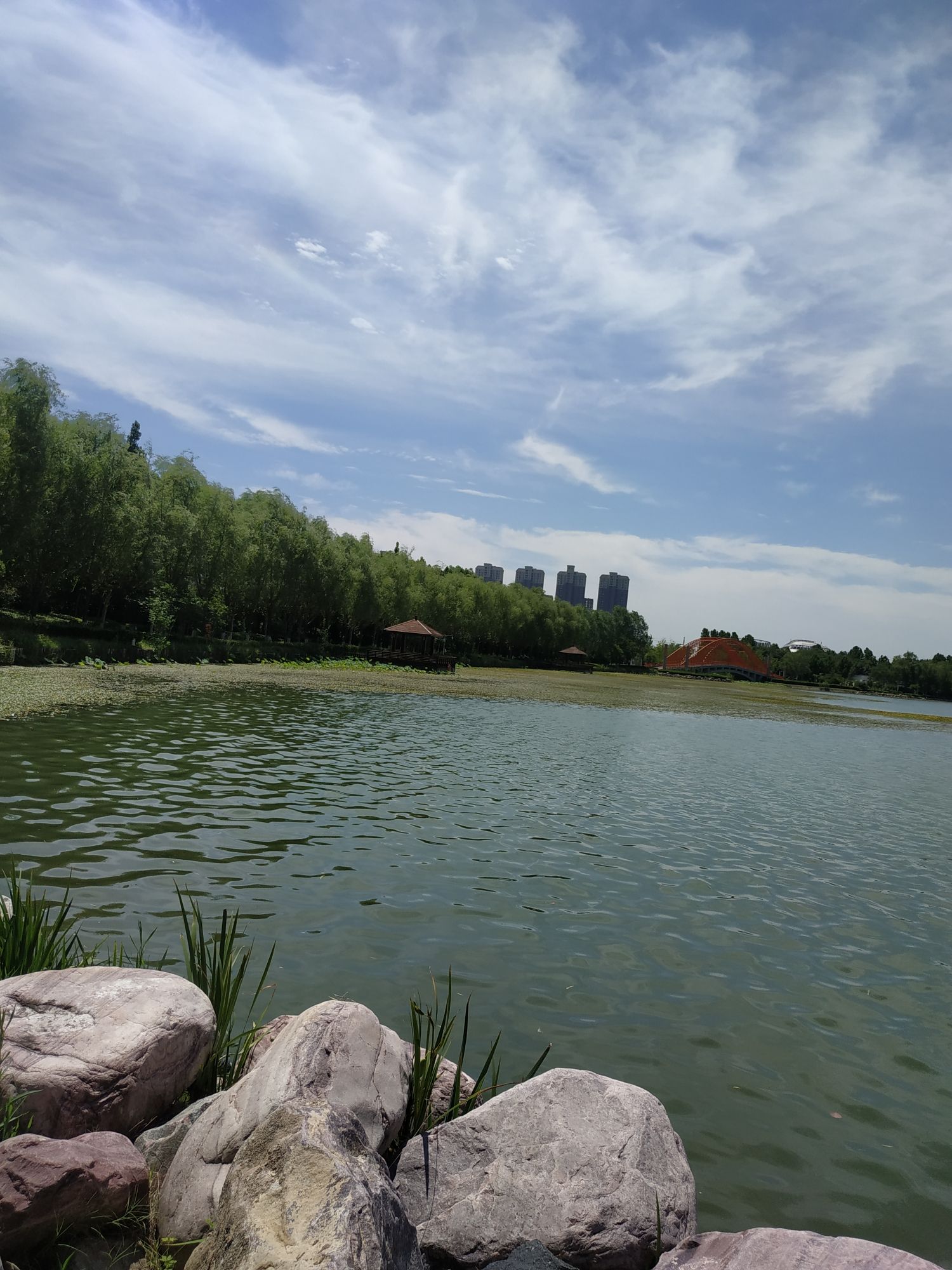 凤鸣湖公园旅行图片 1