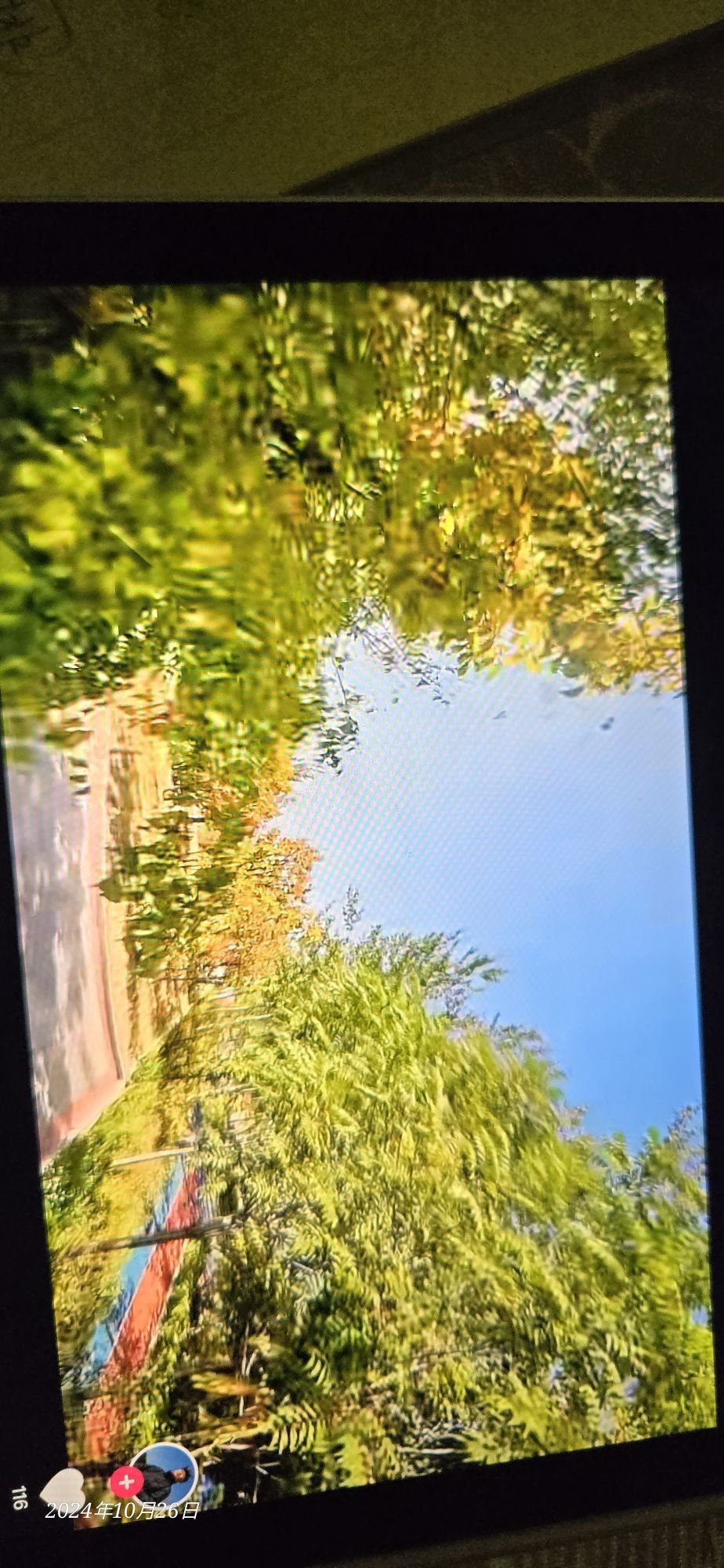 阳泉龙柱公园旅行图片 2