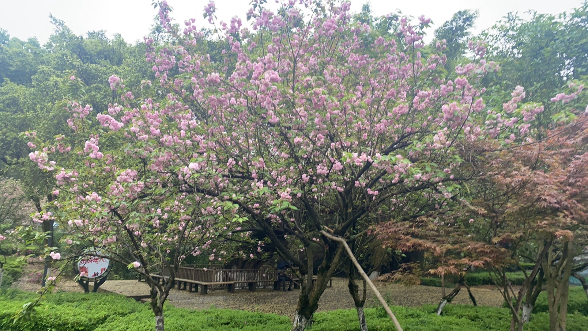 桃花岛旅行图片 2