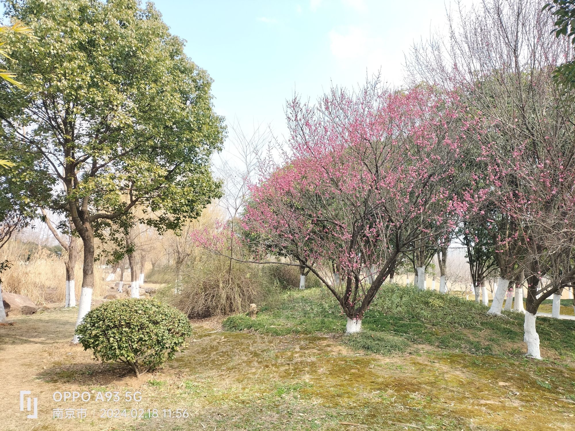 莲花湖公园旅行图片 3