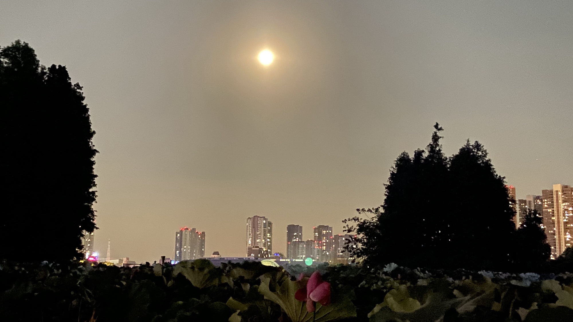 莲花湖公园旅行图片 2