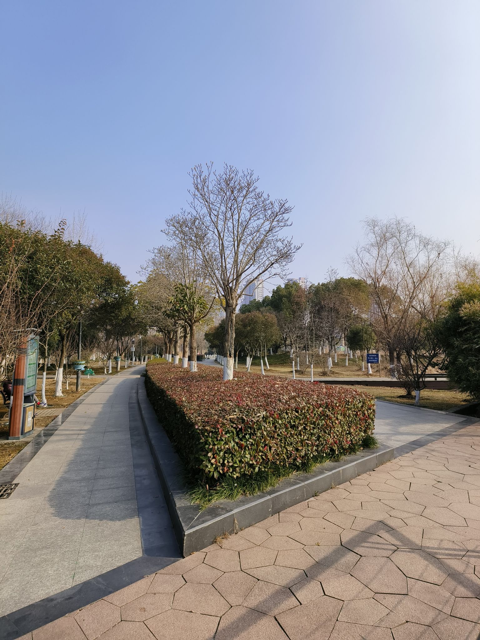 莲花湖公园旅行图片 1