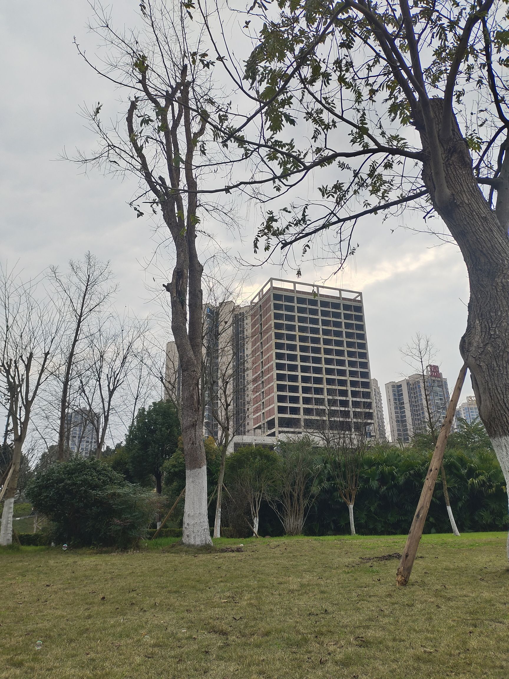 潼南湿地公园旅行图片 2