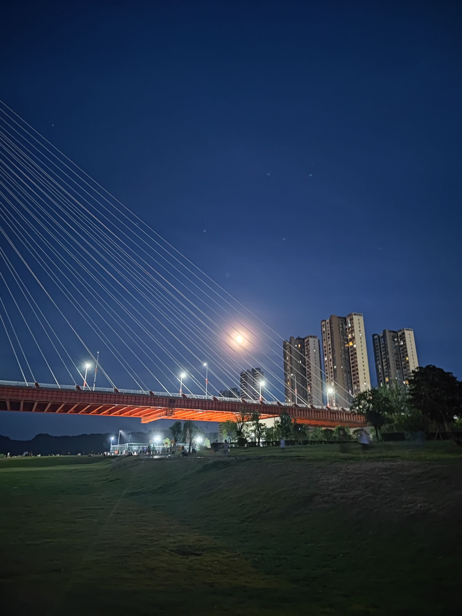潼南湿地公园旅行图片 3