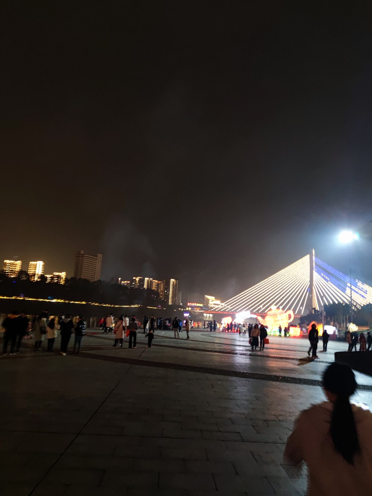 潼南湿地公园旅行图片 1