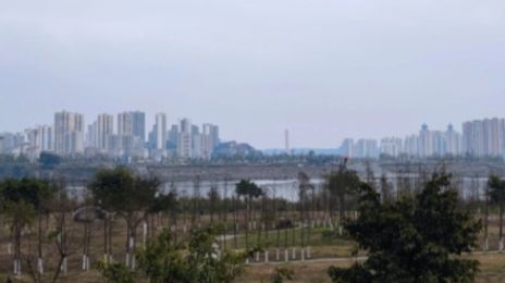 潼南湿地公园旅行图片 3