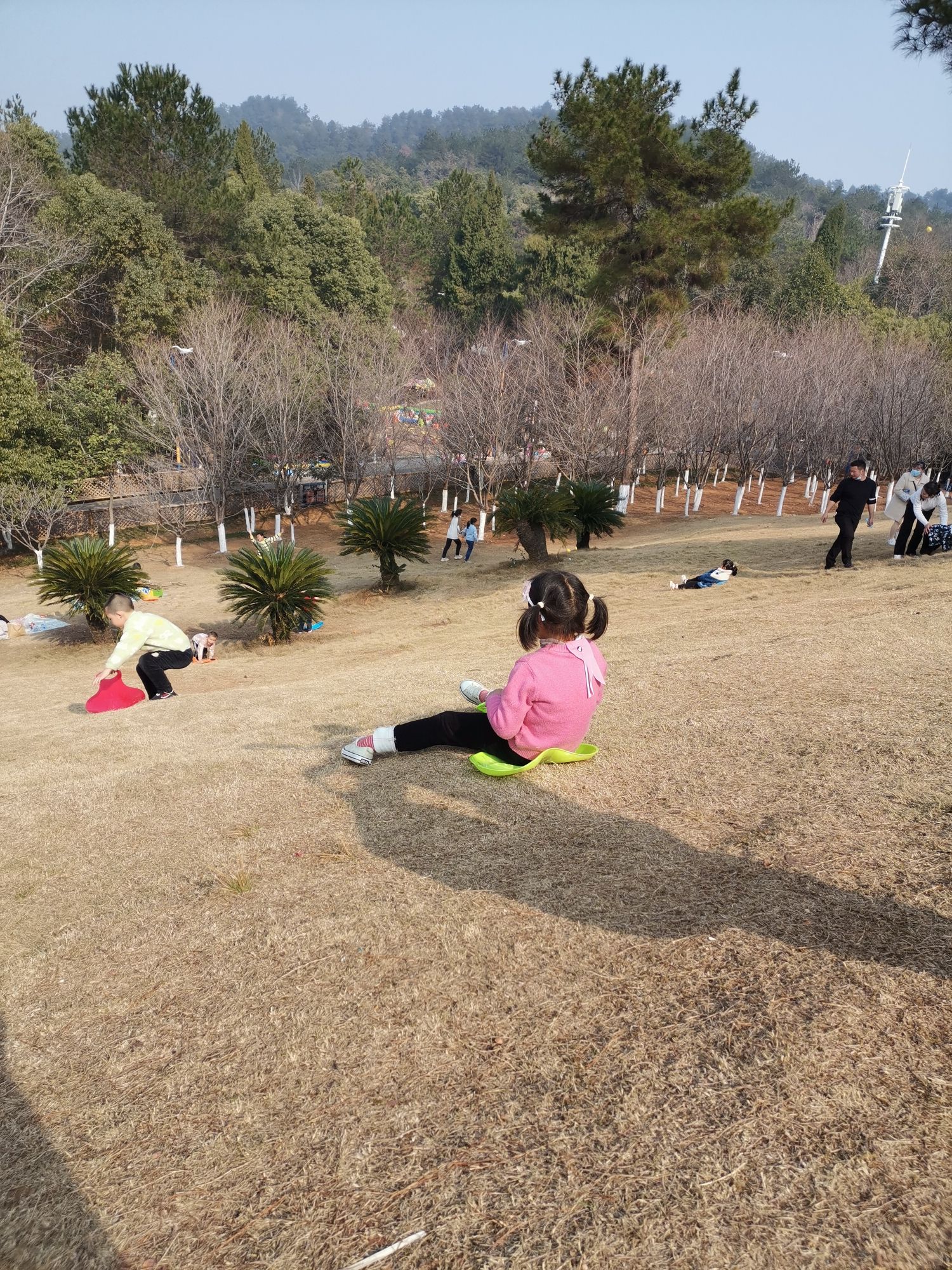 镜湖公园旅行图片 1
