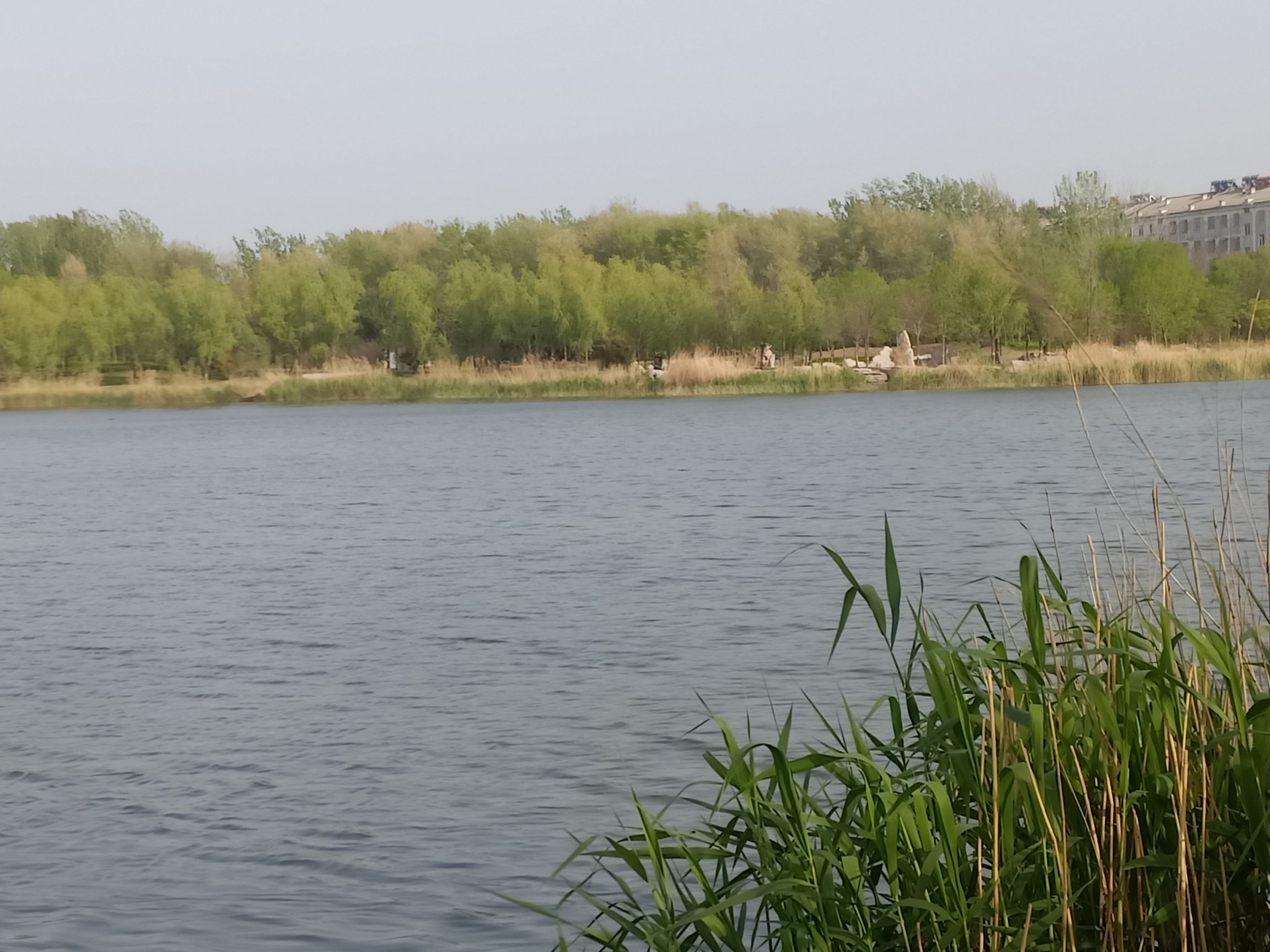 洙水河公园旅行图片 2