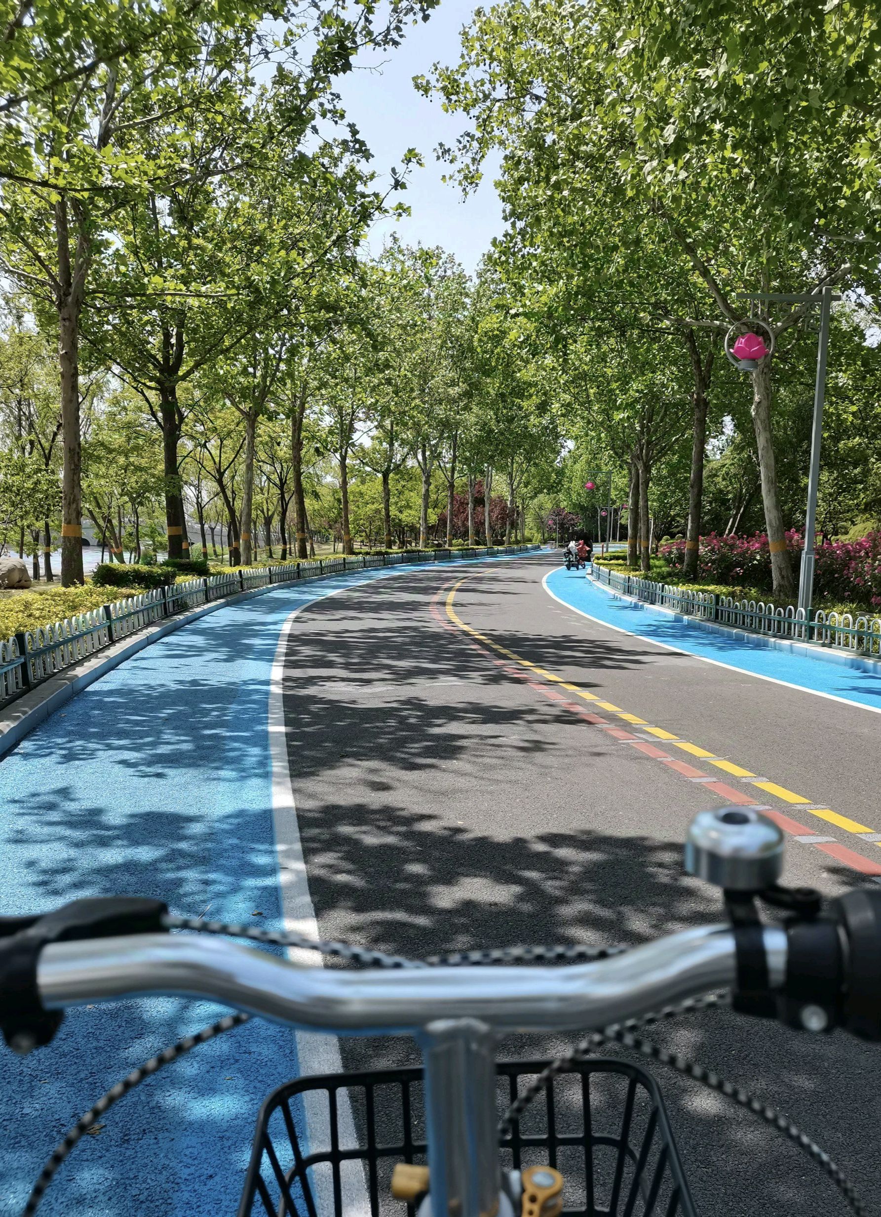 洙水河公园旅行图片 3