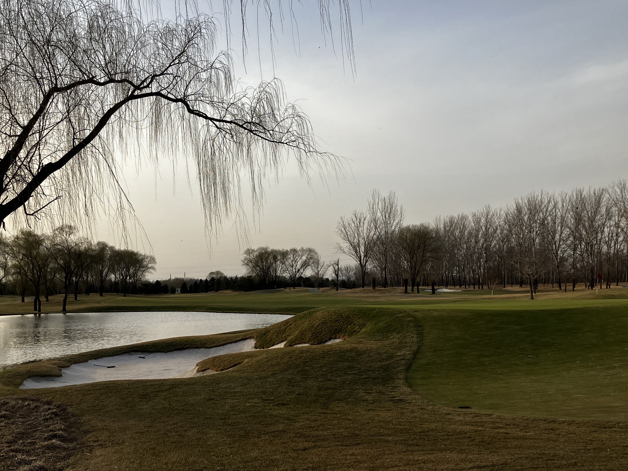 场地封面-丽宫体育公园