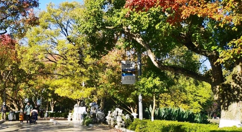 古埂公园旅行图片 3