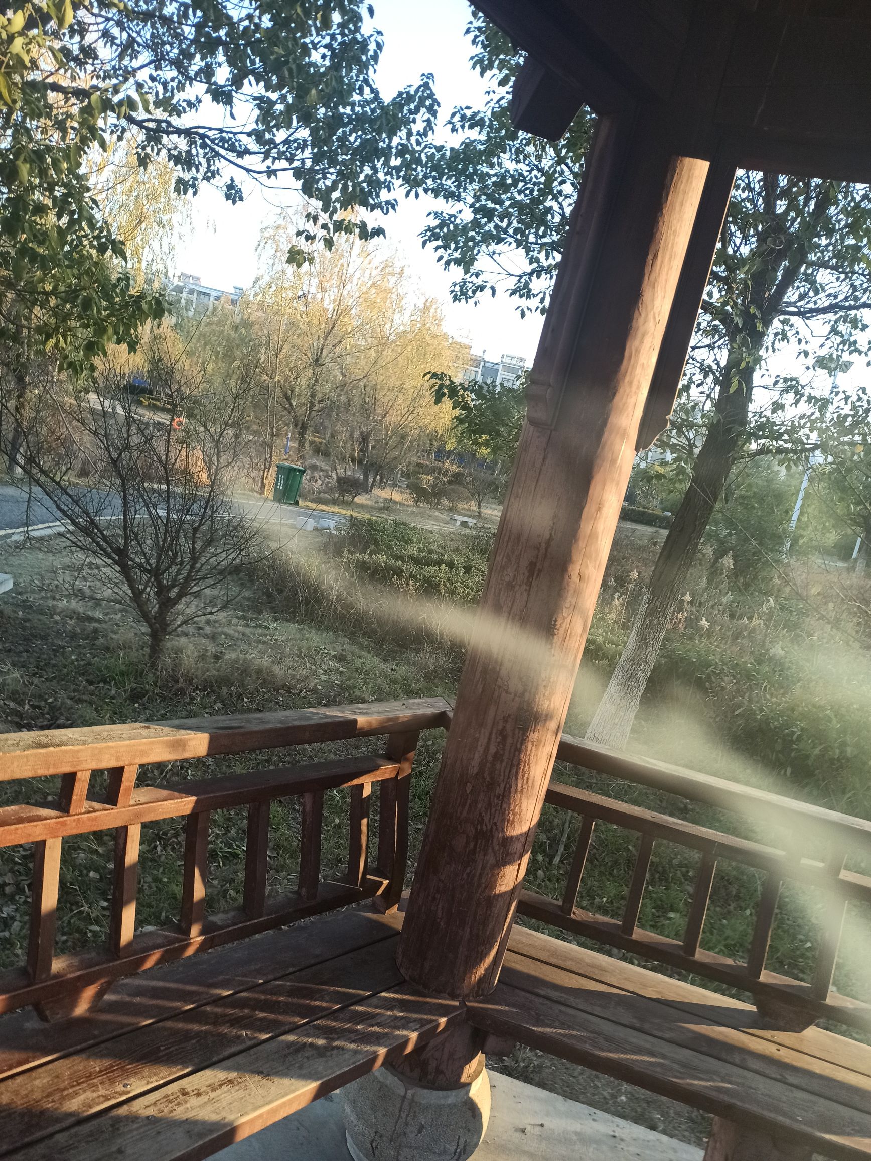 罗埠公园旅行图片 2
