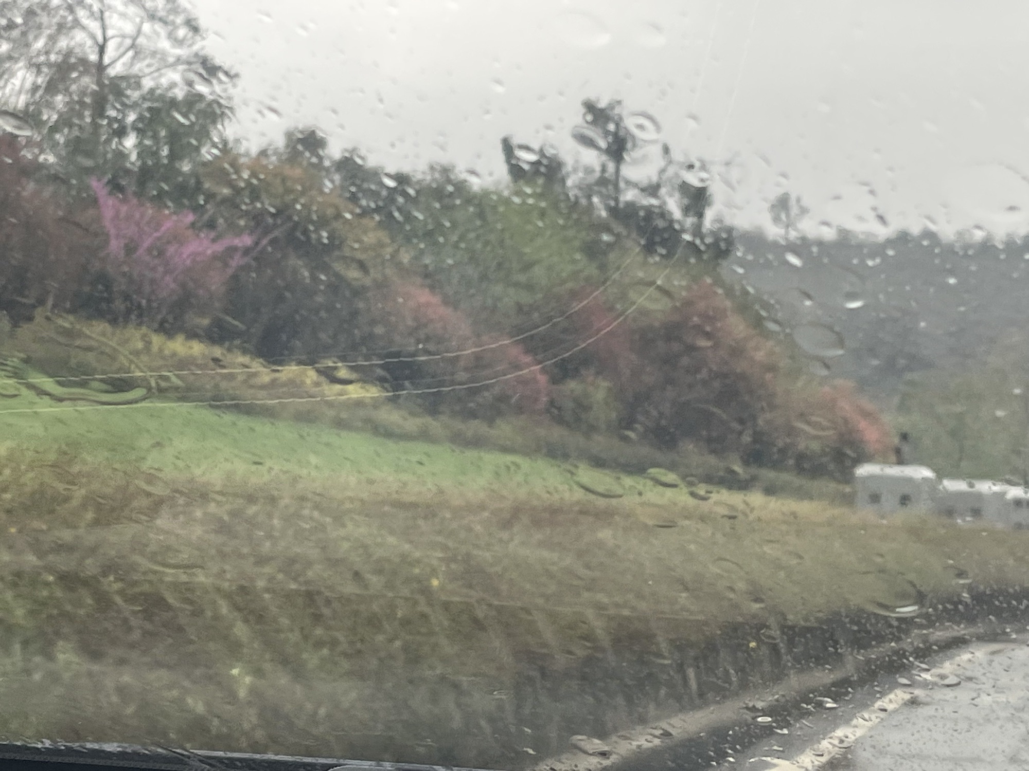 石门峰纪念公园旅行图片 1