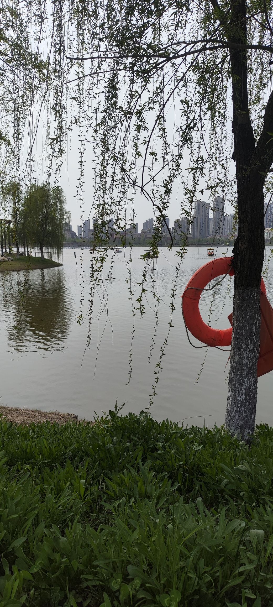 和睦湖公园旅行图片 3