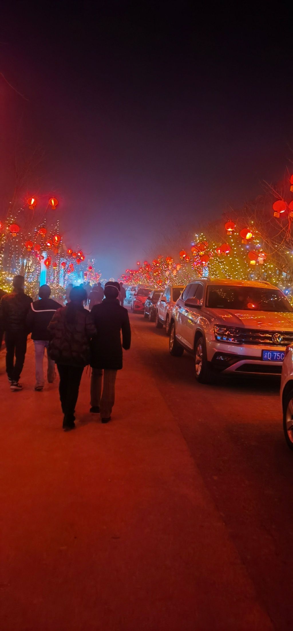 垫江牡丹樱花世界旅行图片 1
