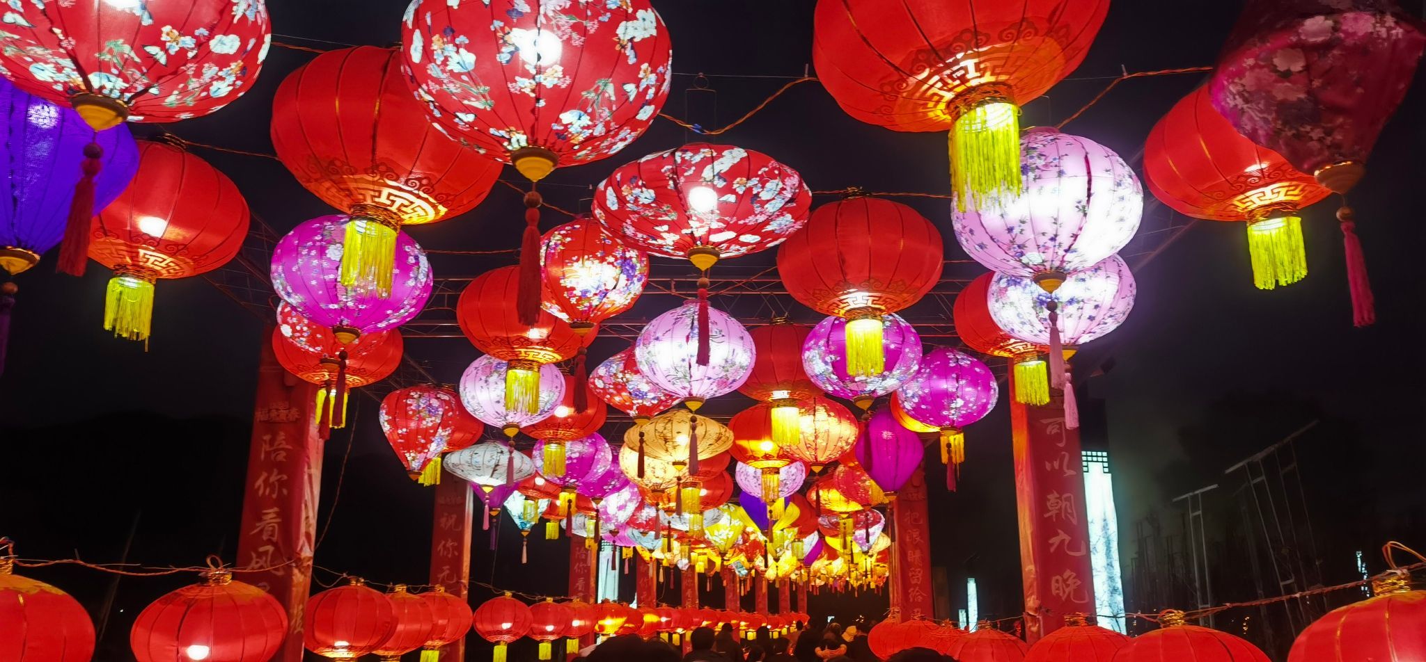 垫江牡丹樱花世界旅行图片 2