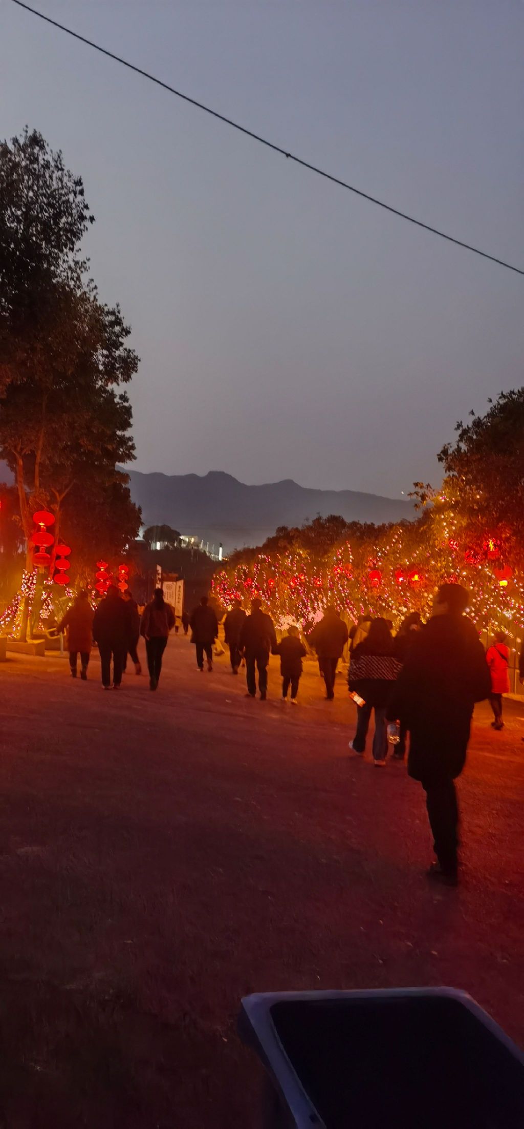 垫江牡丹樱花世界旅行图片 3