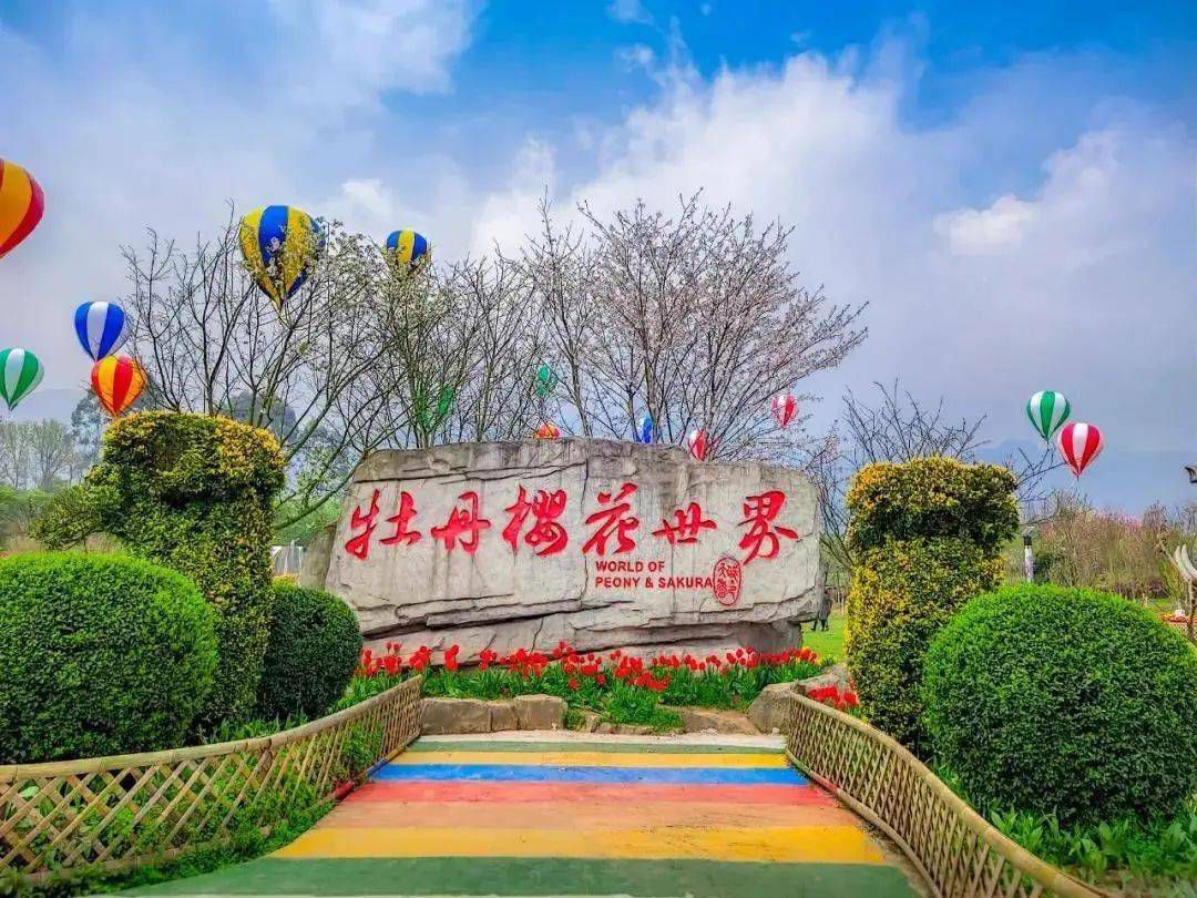 垫江牡丹樱花世界旅行图片 1