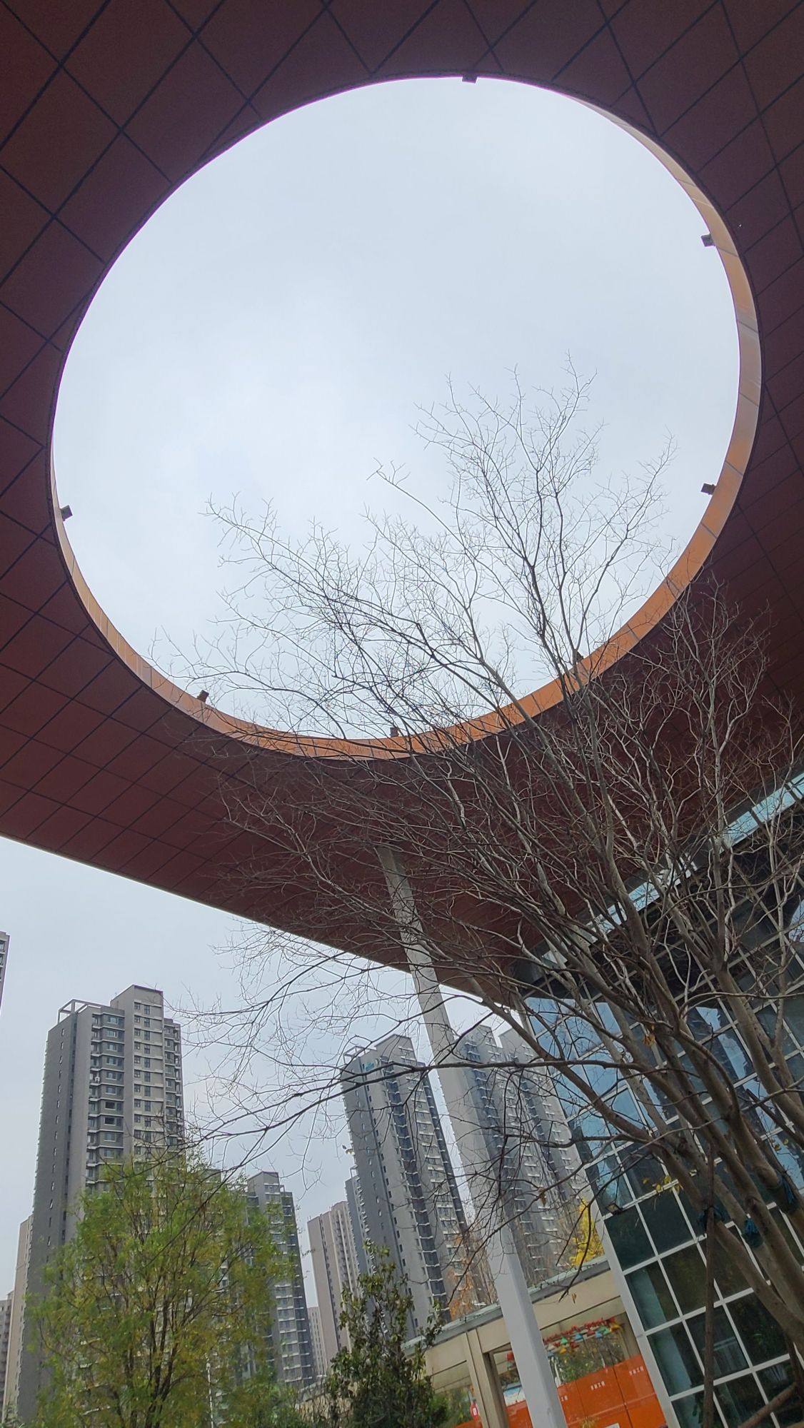 定国湖旅行图片 1