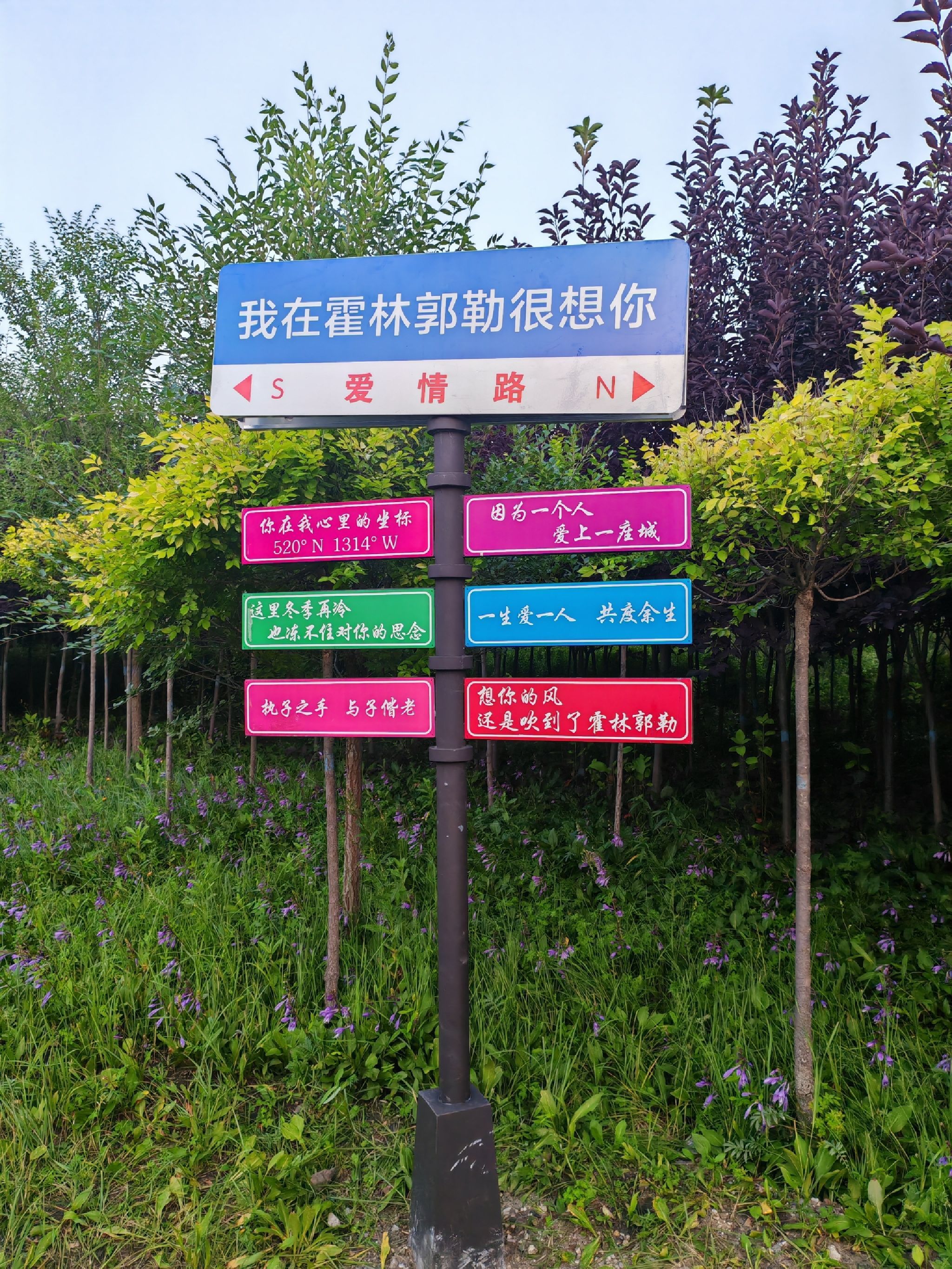 霍林郭勒市湿地公园旅行图片 1