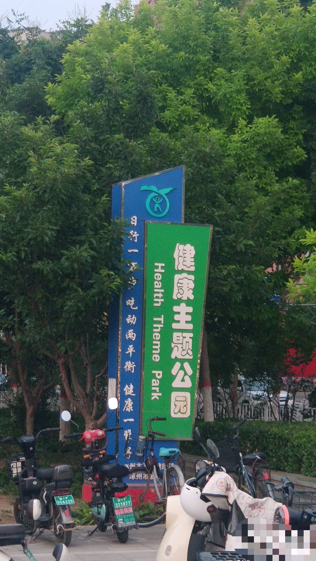 德信文化公园旅行图片 1