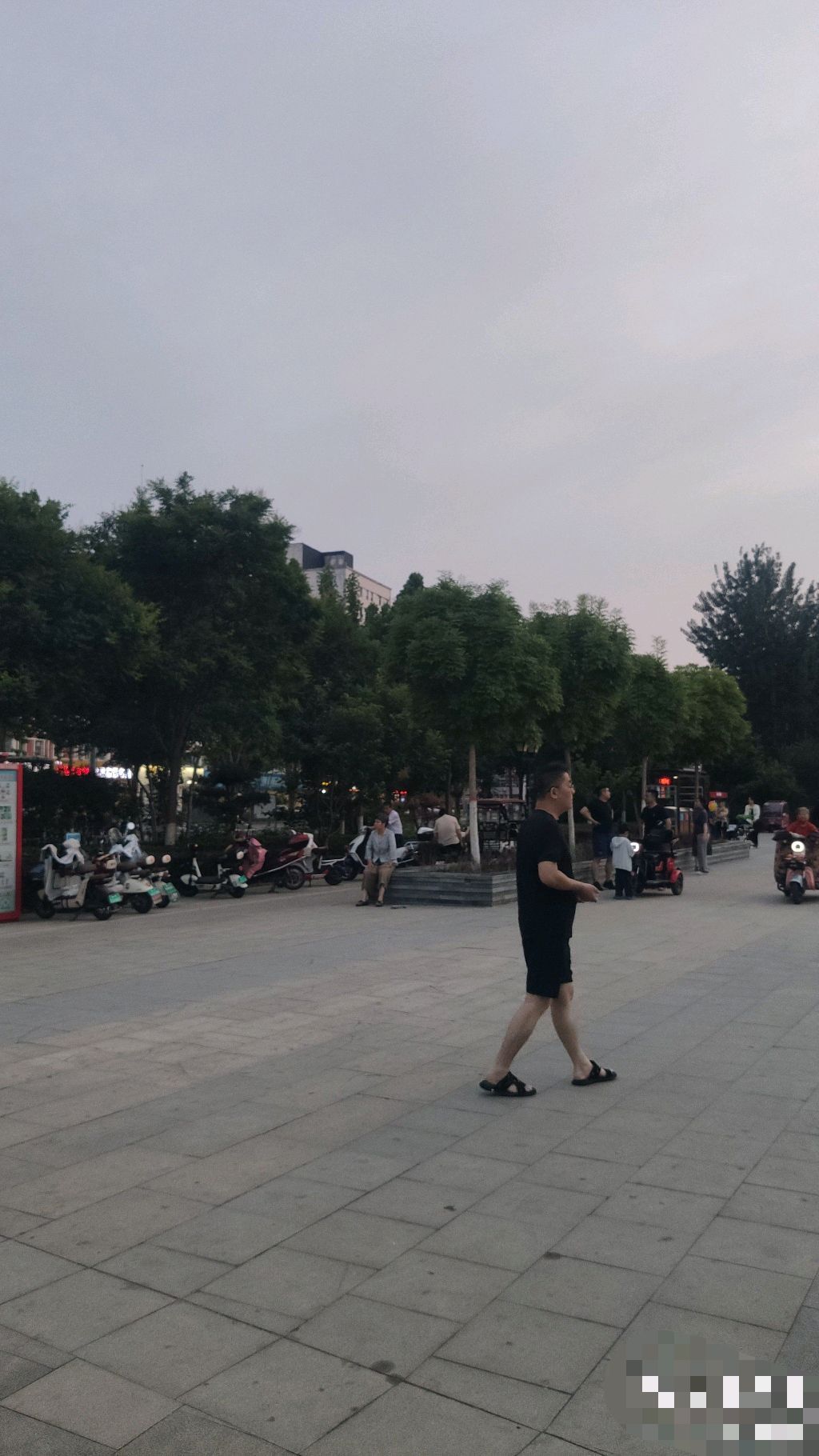 德信文化公园旅行图片 2