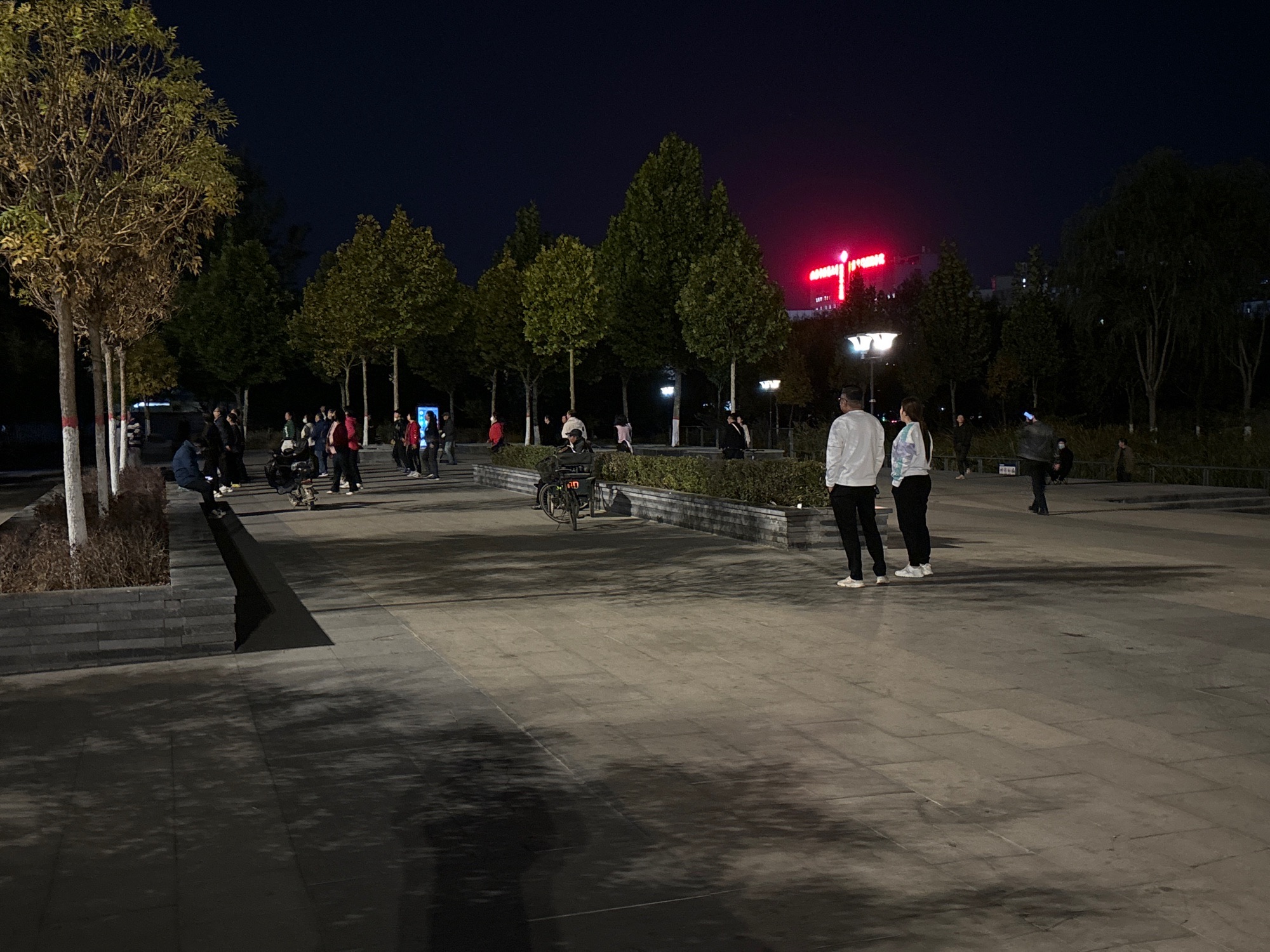 德信文化公园旅行图片 2