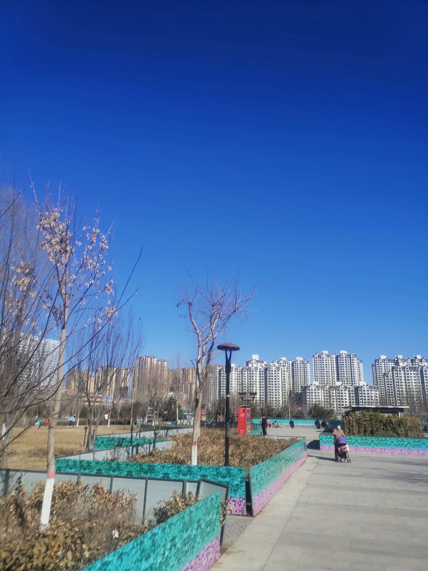 德信文化公园旅行图片 2