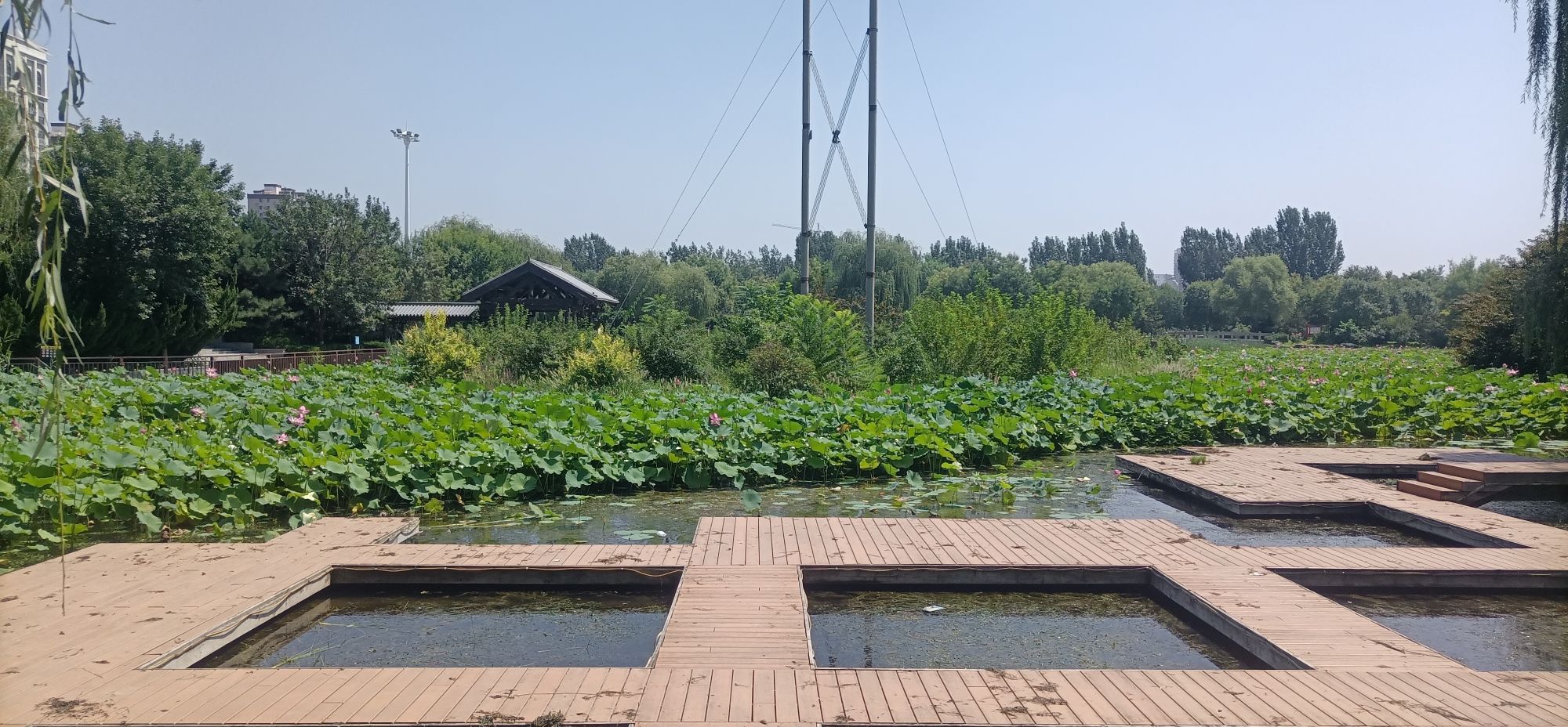 聚秀公园