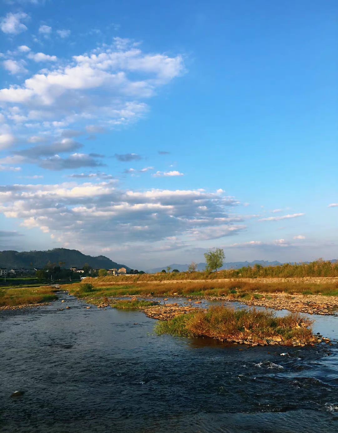 龙凤花海景区旅行图片 2