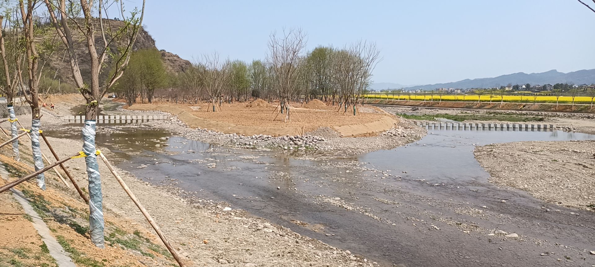 龙凤花海景区旅行图片 3