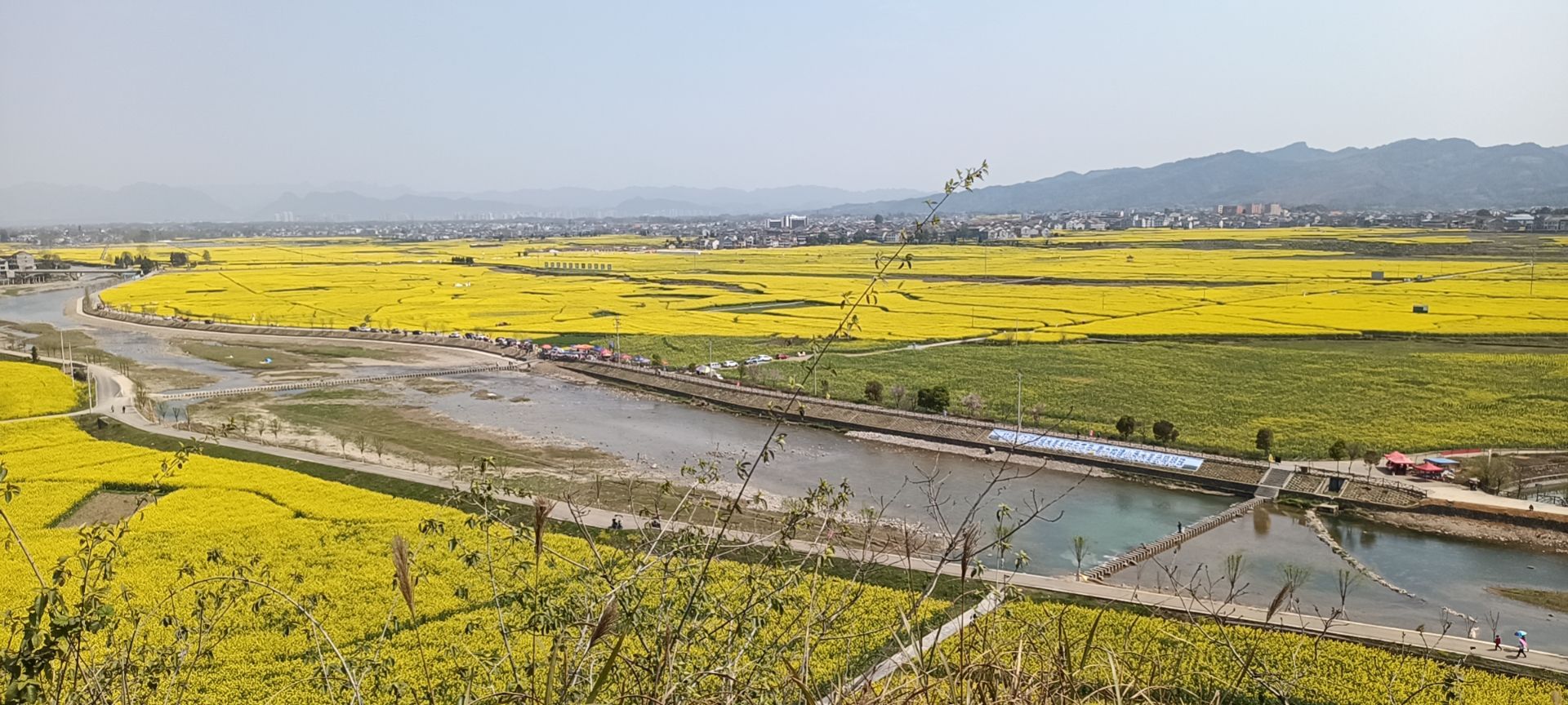 龙凤花海景区旅行图片 1
