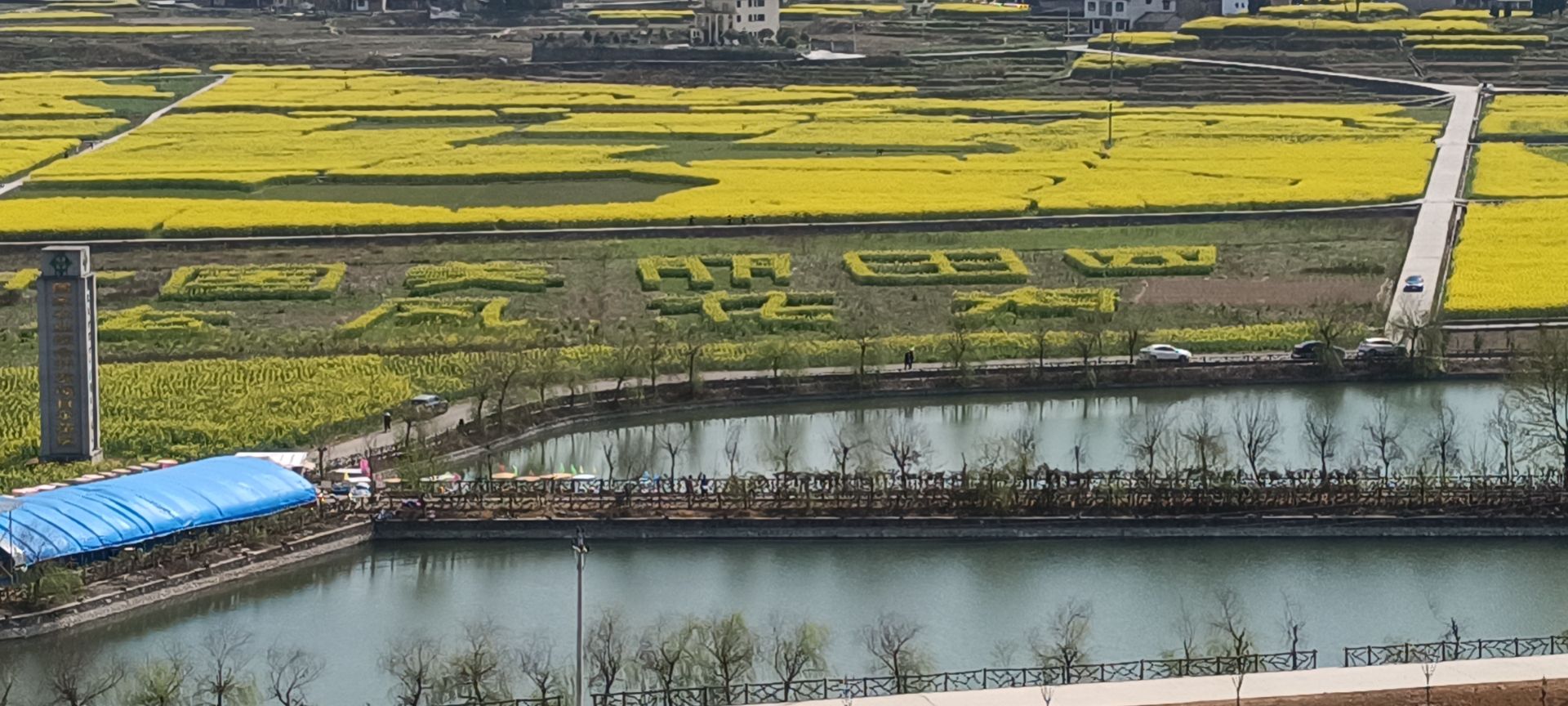 龙凤花海景区旅行图片 2
