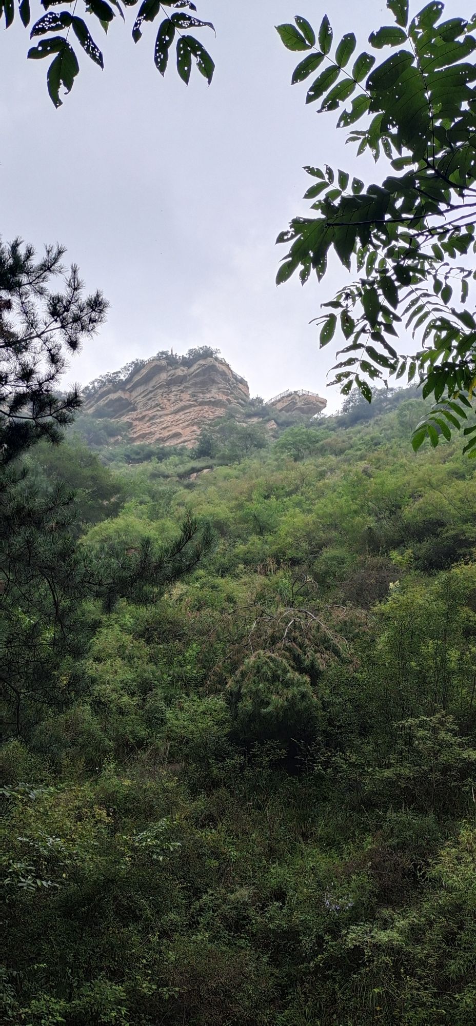 花溪谷旅行图片 2
