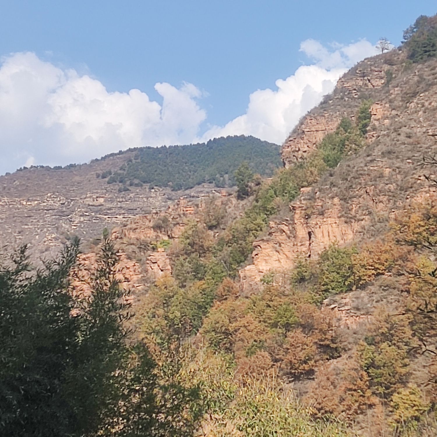 花溪谷旅行图片
