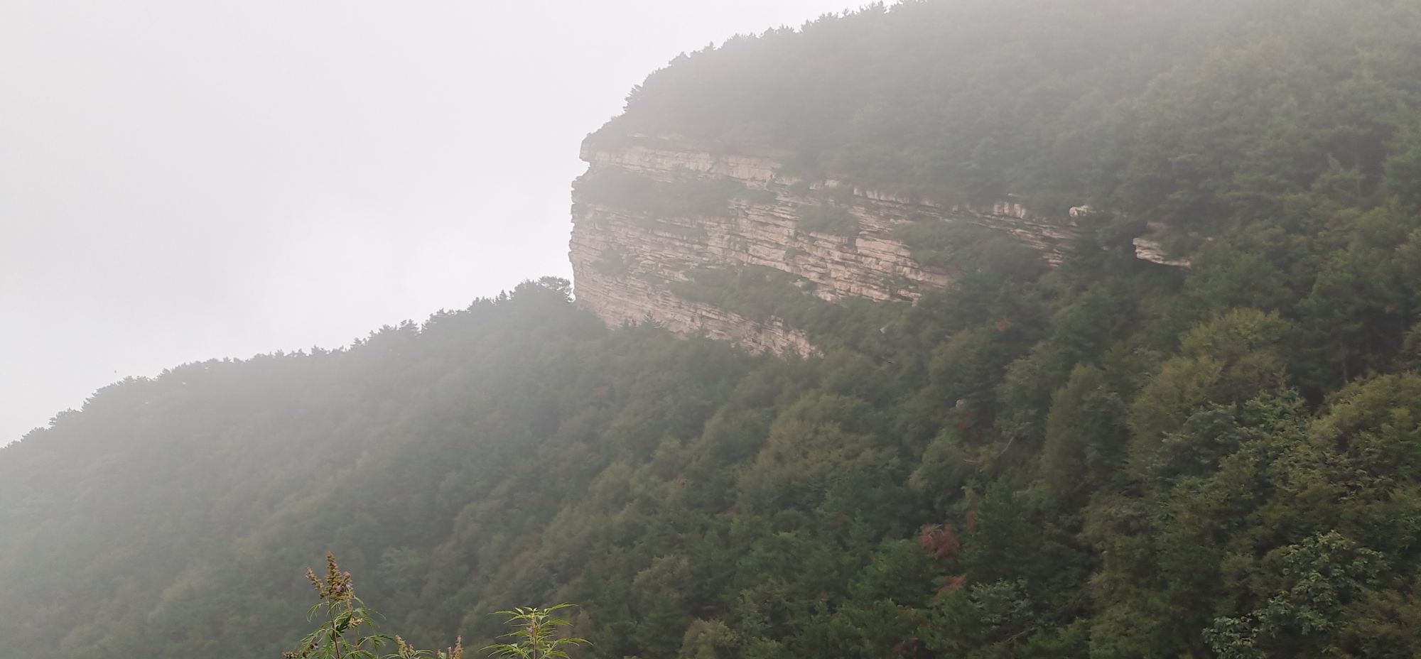 花溪谷旅行图片