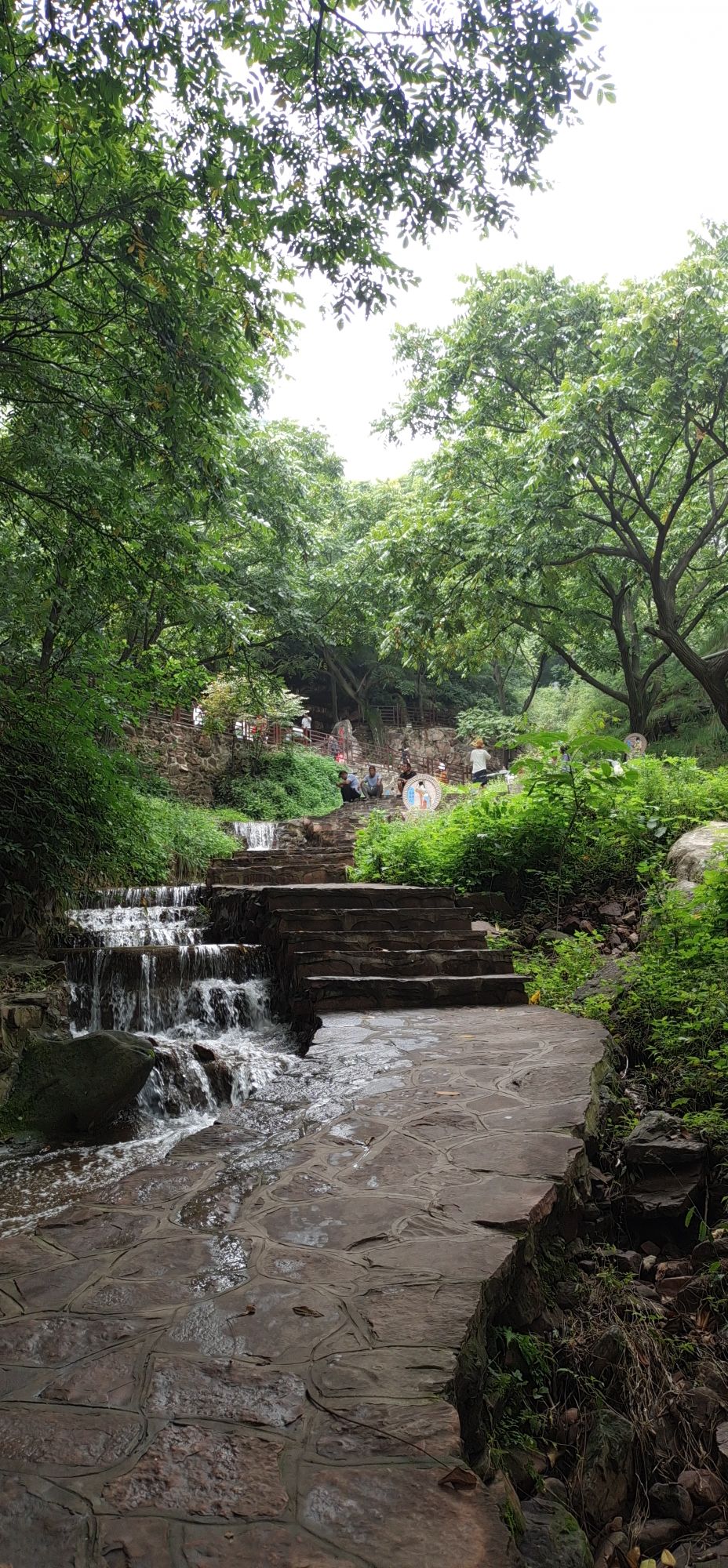 花溪谷旅行图片 3