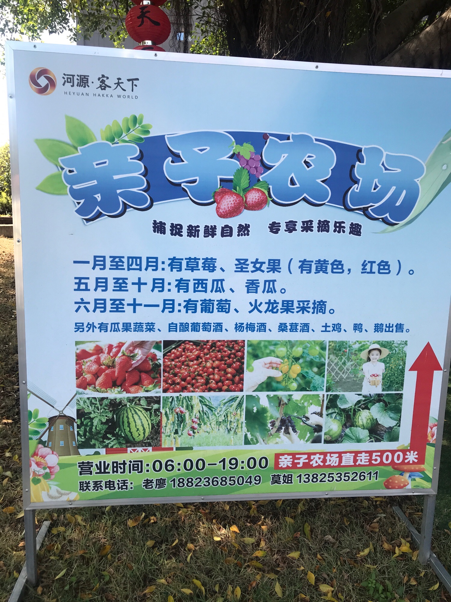 客天下·河源国际旅游度假区旅行图片 1