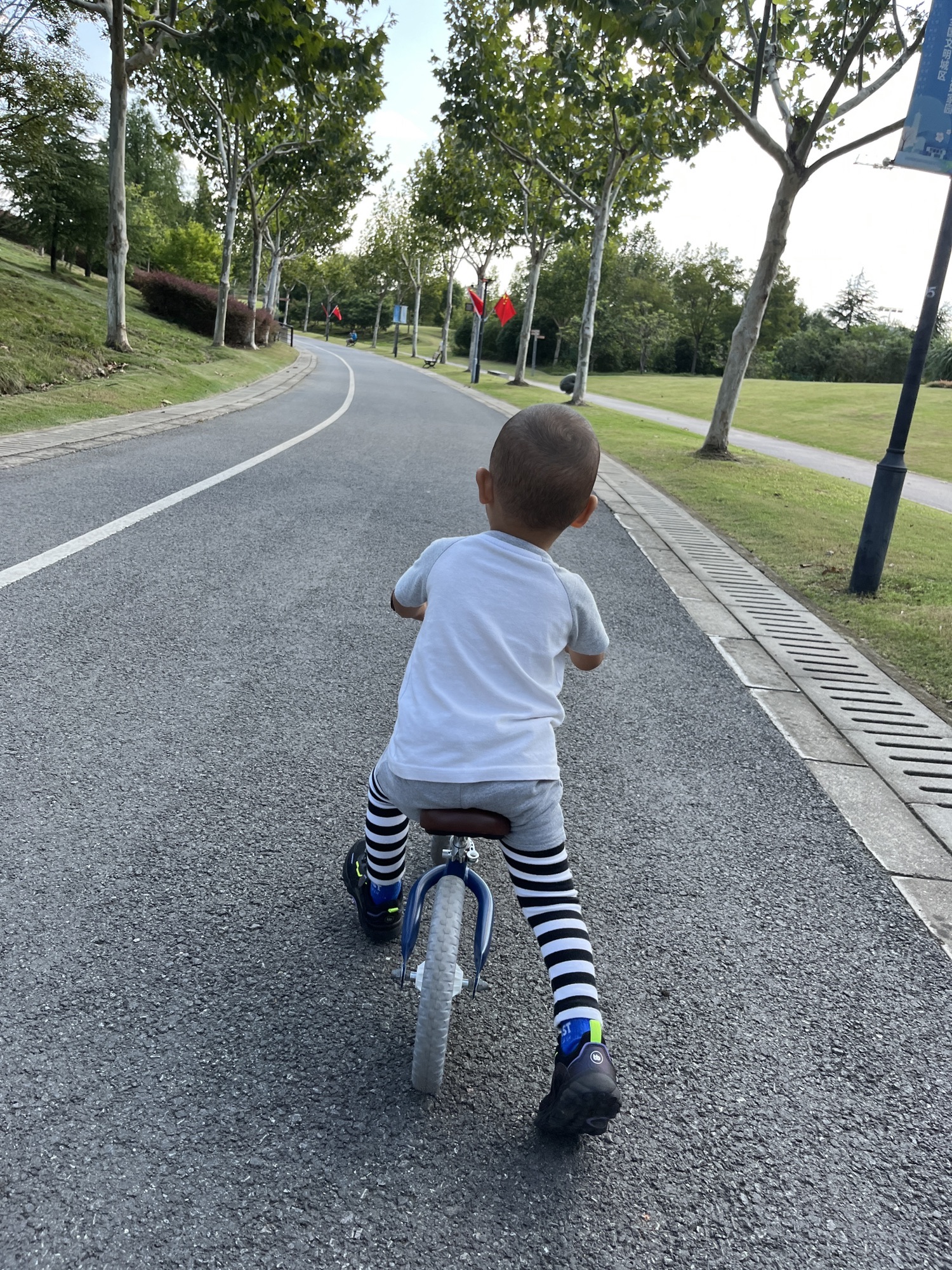 白沙公园旅行图片 1