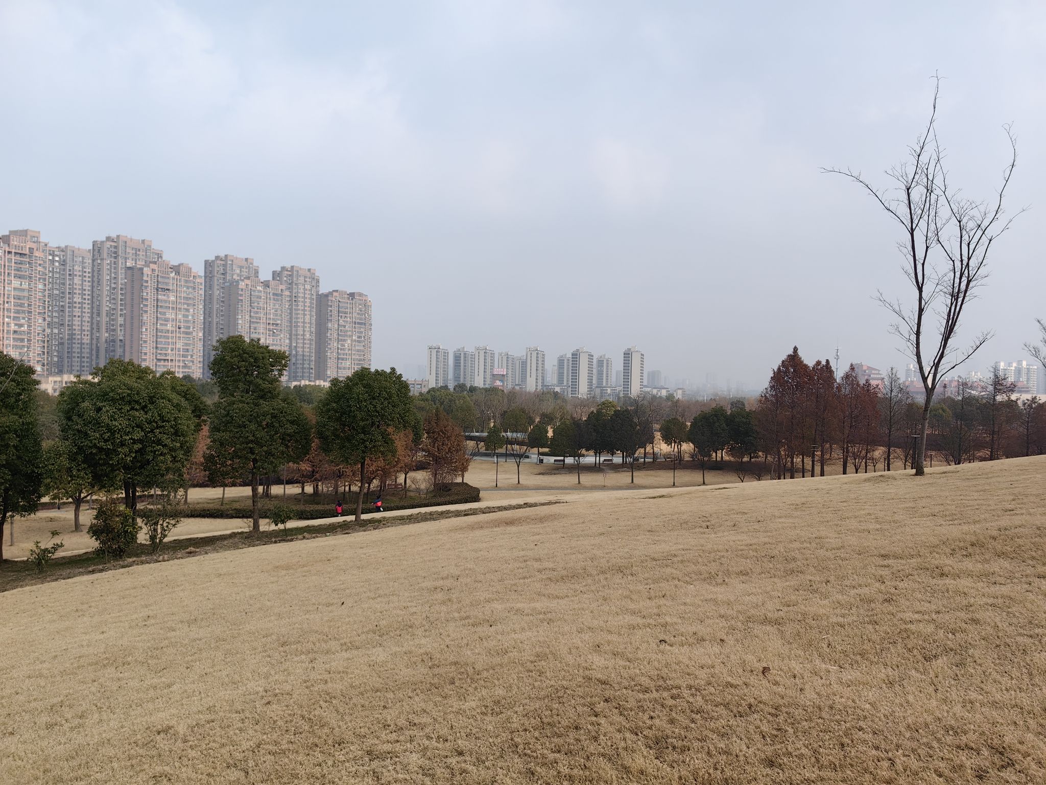 白沙公园旅行图片 1