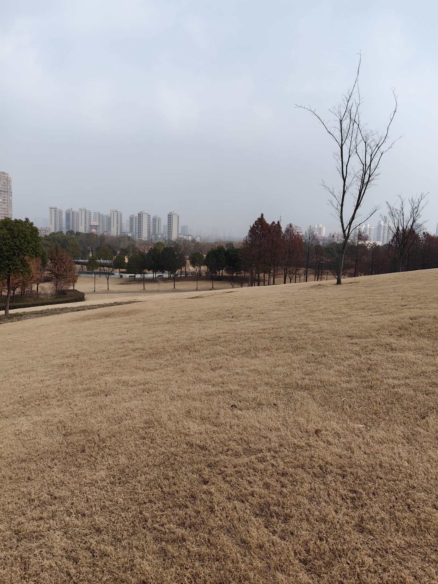 白沙公园旅行图片 2