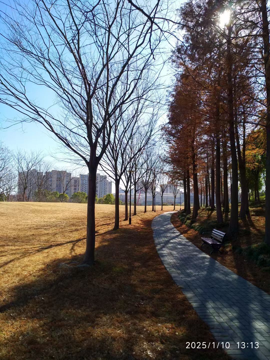 白沙公园旅行图片 3
