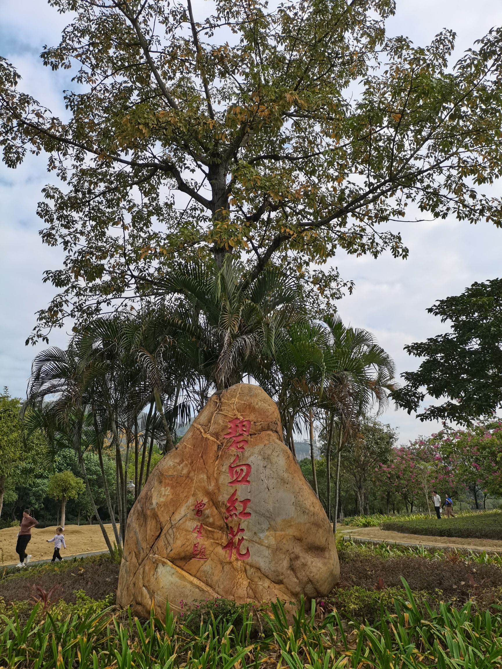红花岭公园旅行图片 2