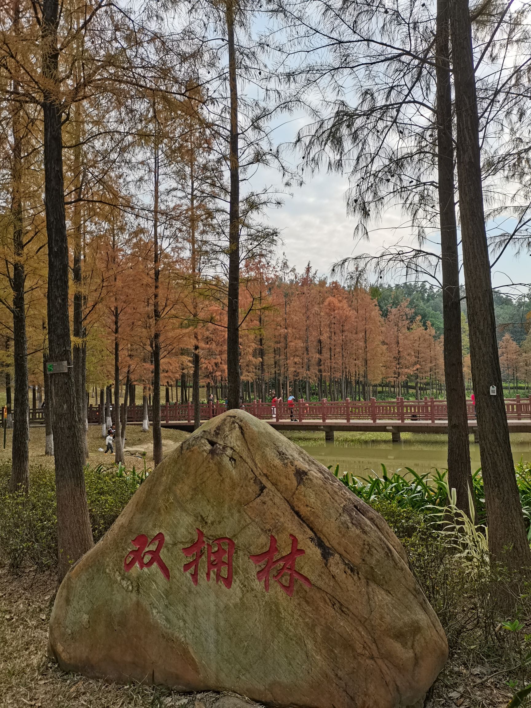 红花岭公园旅行图片 3