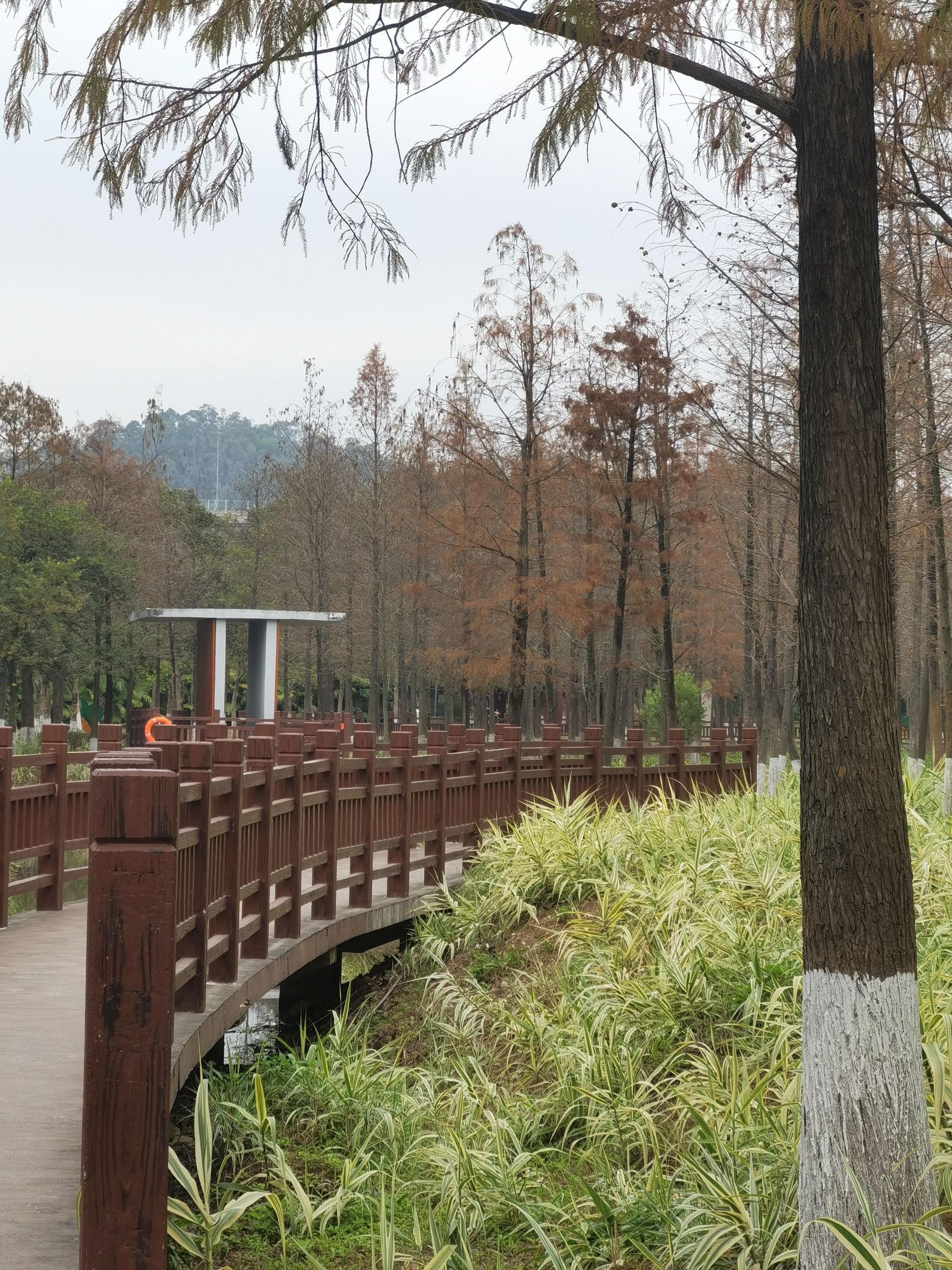 红花岭公园旅行图片 2