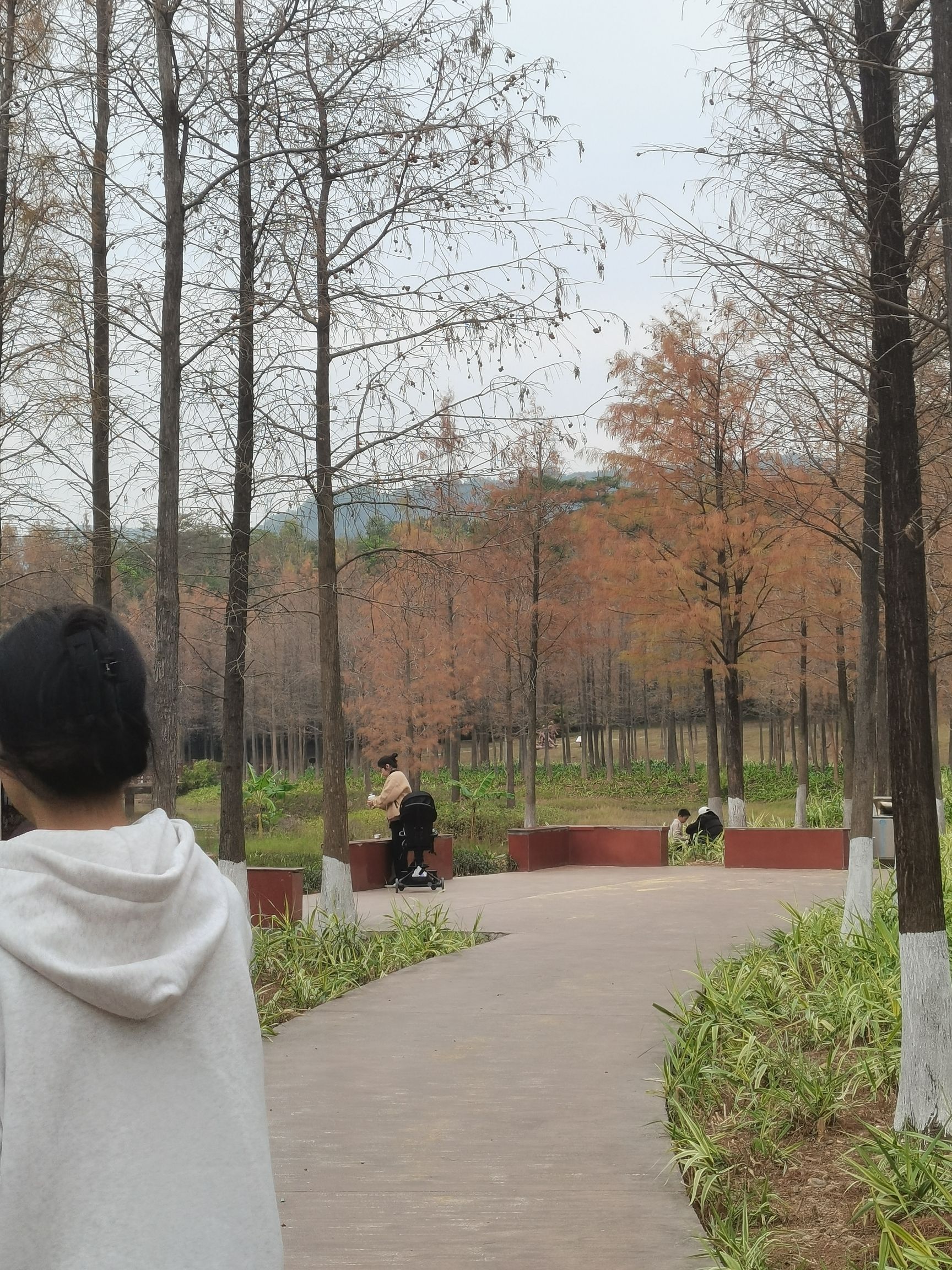红花岭公园旅行图片 3