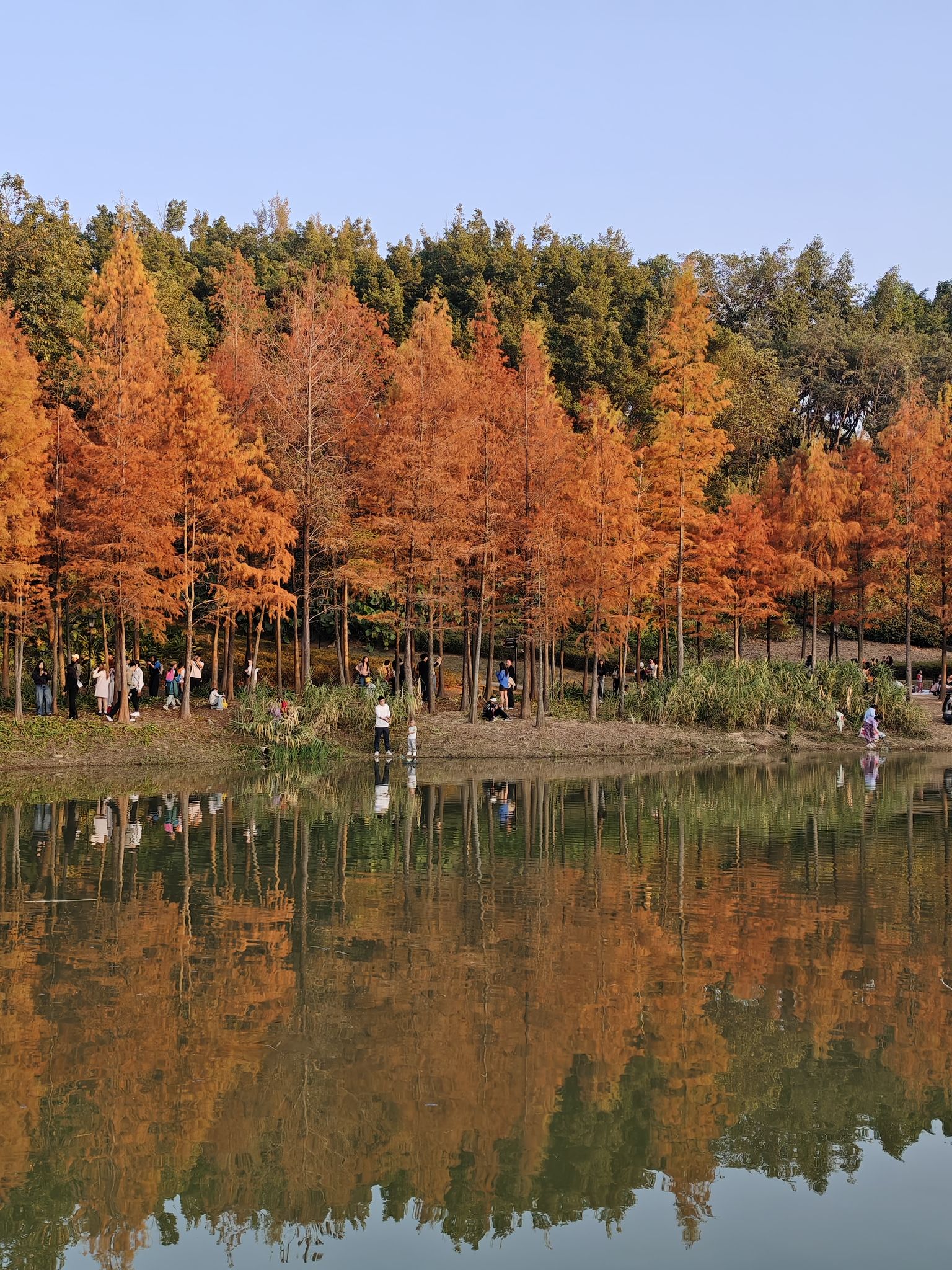 红花岭公园旅行图片 2